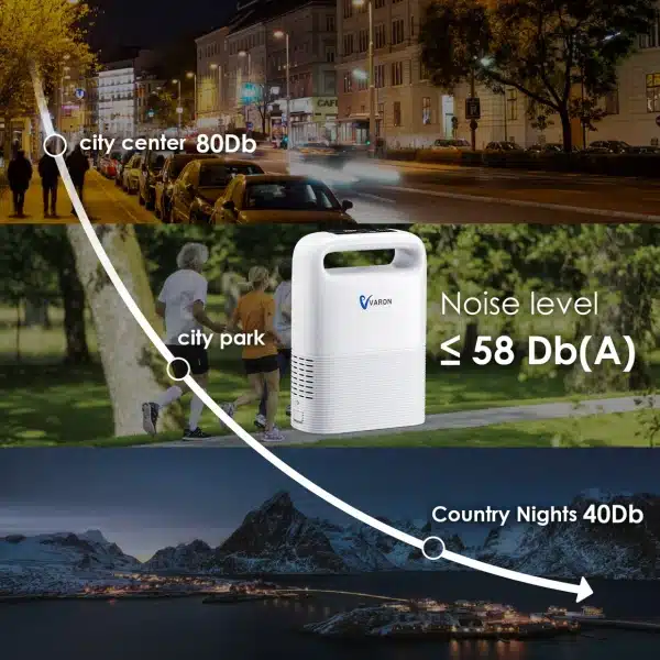smart Rechargeable 5L pulse flow & continuous flow portable oxygen concentrator (VP-2)